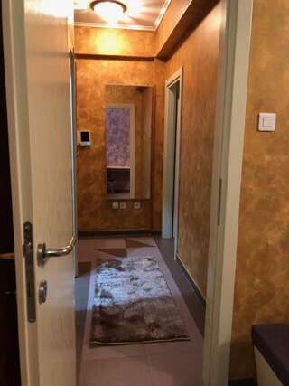 Апартаменты Apartman Mediteraneo Будва Апартаменты с балконом-4